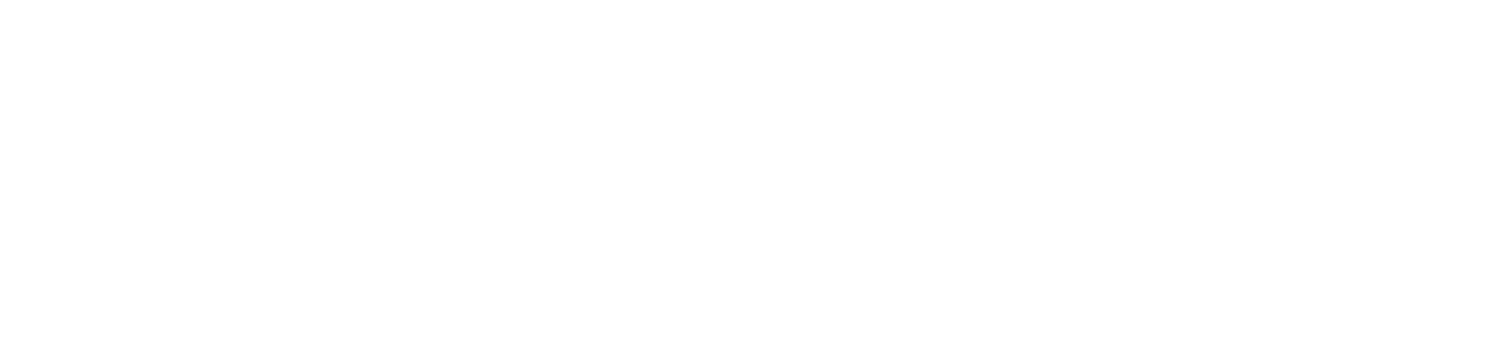 Exluzik Name